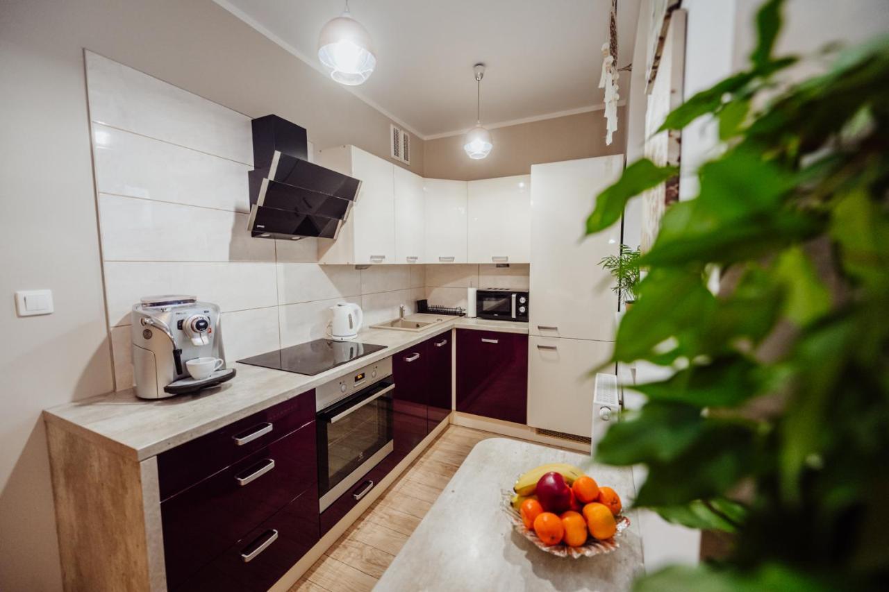 Apartament Zielona 11 Jelenia Góra Extérieur photo