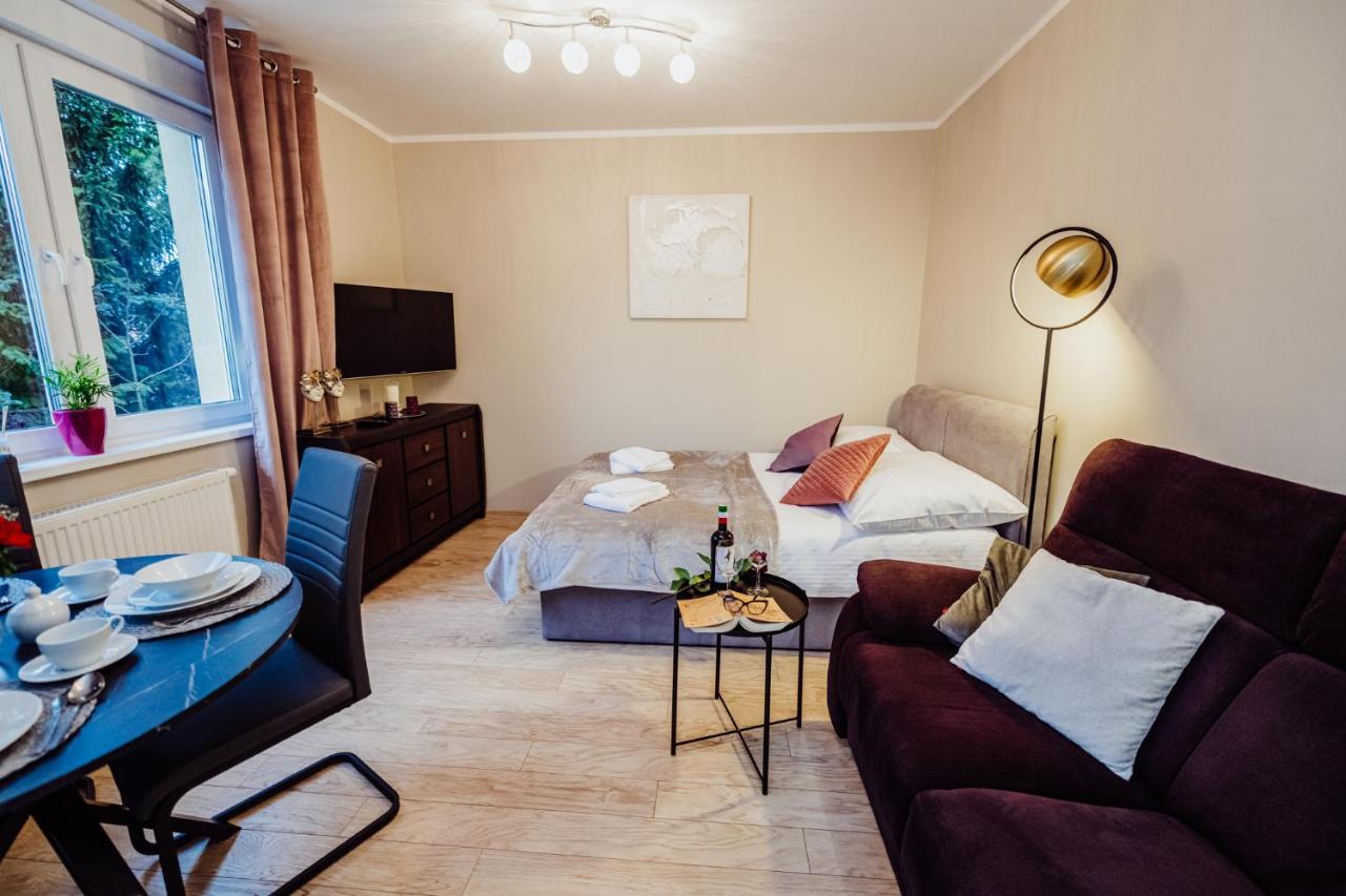 Apartament Zielona 11 Jelenia Góra Extérieur photo